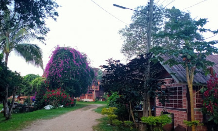 ขายรีสอร์ท 60ไร่ อ.แม่จัน จ.เชียงราย พื้นที่ 60ไร่ 40 + 20 (20 ไร่ ไม่มีใบ)  อ.แม่จัน จ.เชียงราย