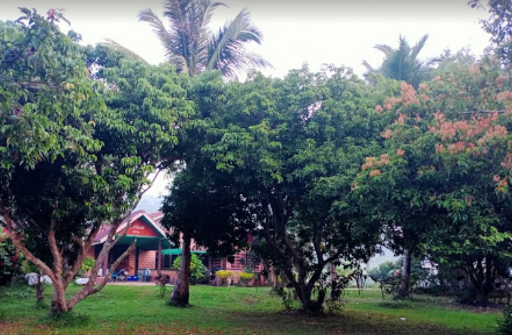 ขายรีสอร์ท 60ไร่ อ.แม่จัน จ.เชียงราย พื้นที่ 60ไร่ 40 + 20 (20 ไร่ ไม่มีใบ)  อ.แม่จัน จ.เชียงราย