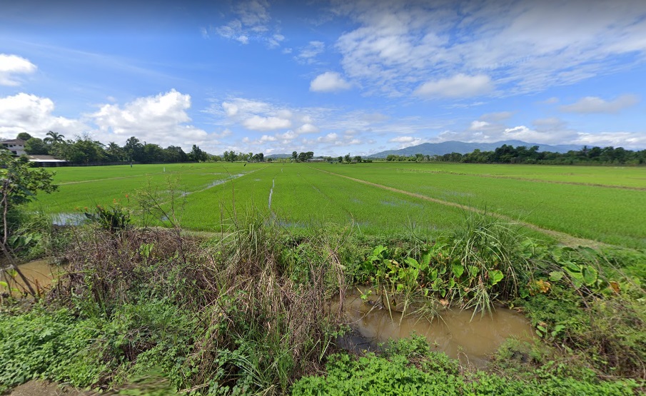 ขายที่นาแปลงสวยในเขตชุมชน ต.สันทราย อ.แม่จัน จ.เชียงราย