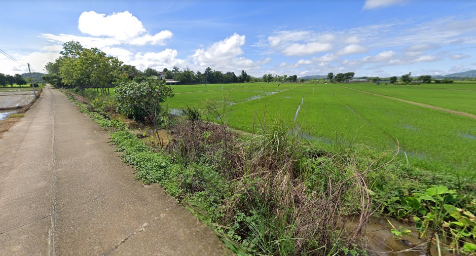 ขายที่นาแปลงสวยในเขตชุมชน ต.สันทราย อ.แม่จัน จ.เชียงราย