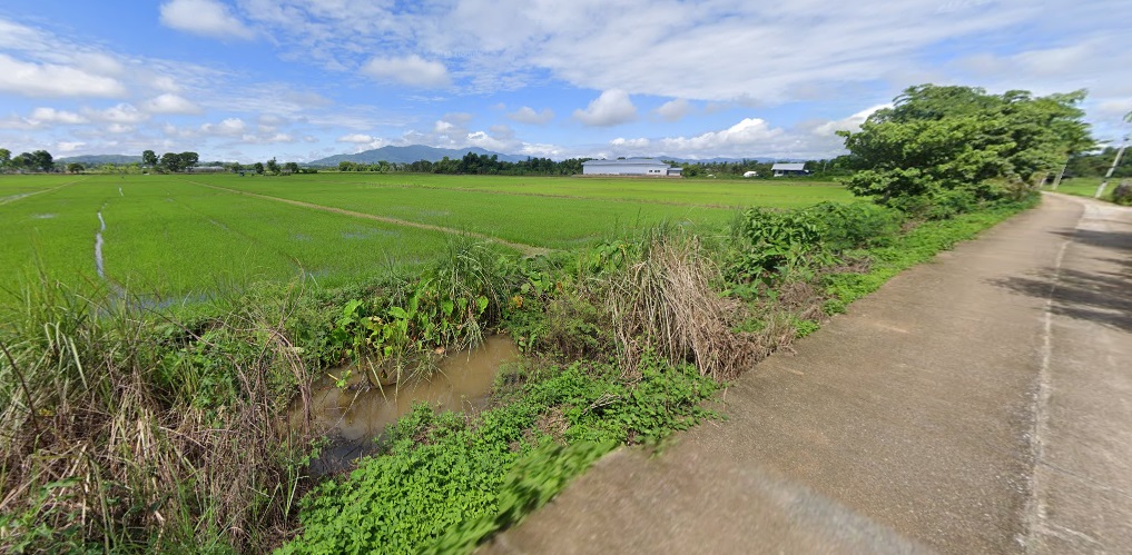 ขายที่นาแปลงสวยในเขตชุมชน ต.สันทราย อ.แม่จัน จ.เชียงราย
