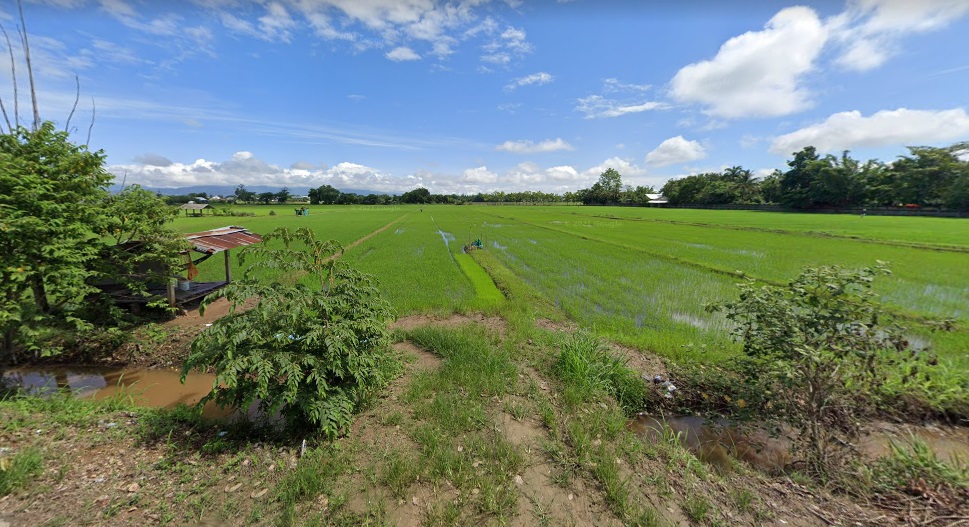 ขายที่นาแปลงสวยในเขตชุมชน ต.สันทราย อ.แม่จัน จ.เชียงราย