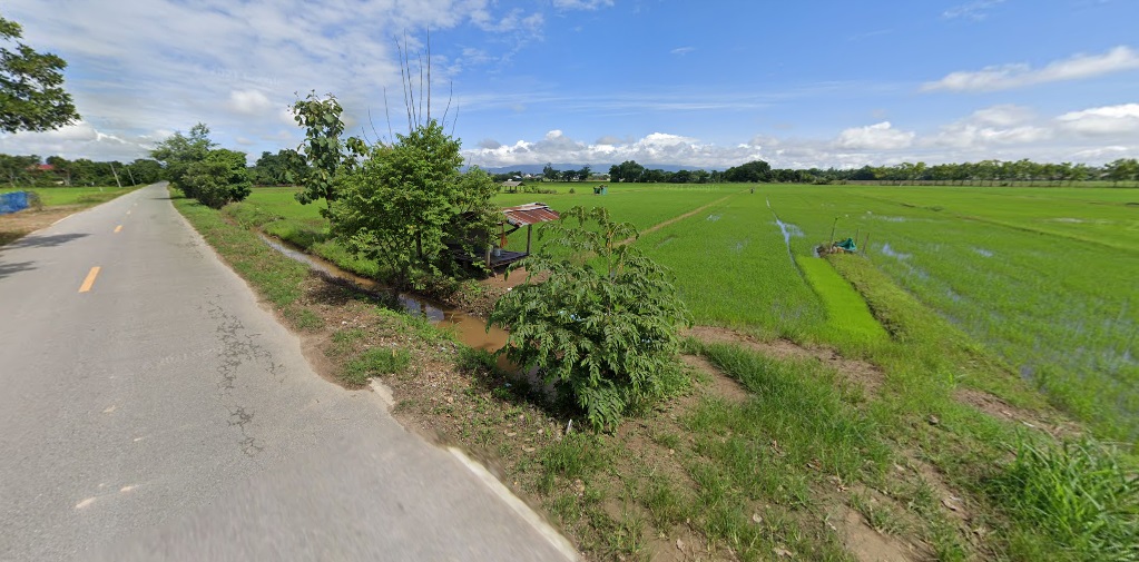 ขายที่นาแปลงสวยในเขตชุมชน ต.สันทราย อ.แม่จัน จ.เชียงราย