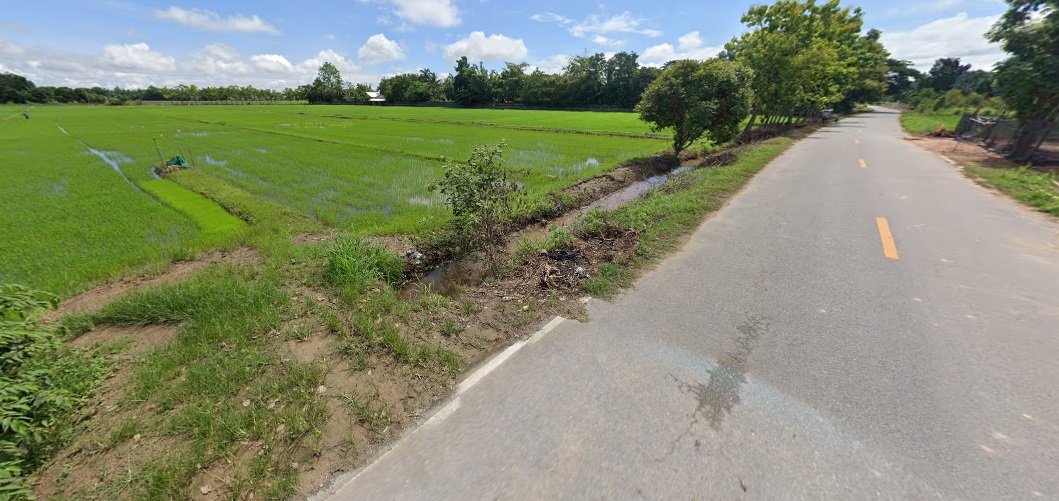 ขายที่นาแปลงสวยในเขตชุมชน ต.สันทราย อ.แม่จัน จ.เชียงราย
