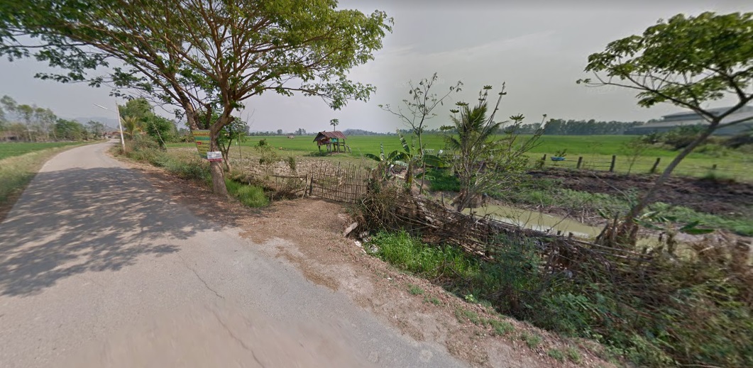 ขายที่นาแปลงสวยติดถนนดำ อ.ป่าแดด จ.เชียงราย 