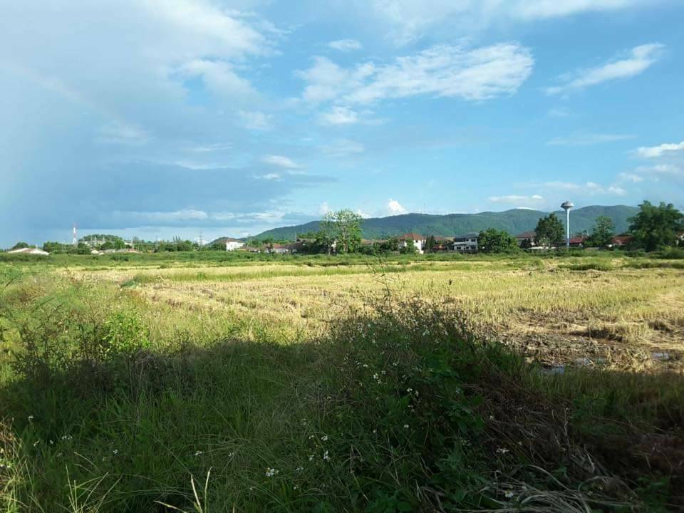 ขายที่ดินเปล่า ตั้งอยู่ ต.ท่าสาย อ.เมืองเชียงราย 