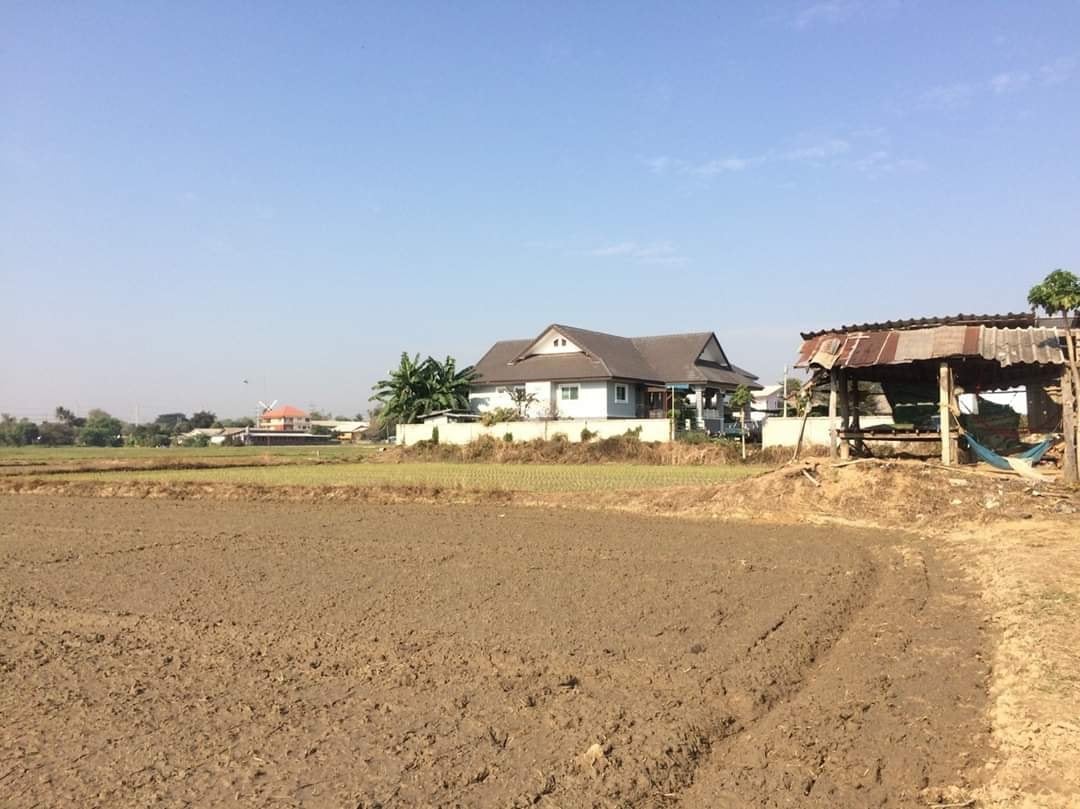 ขายที่ดินเปล่า ตั้งอยู่ ต.ท่าสาย อ.เมืองเชียงราย 