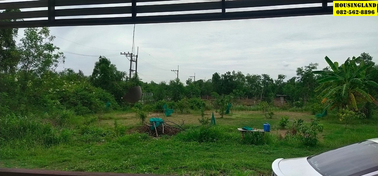 ขายด่วน!! ที่ดินถมแล้วพร้อม​บ้าน​ ถนนเลียบคลอง 12  ตำบลศาลาครุ อำเภอหนองเสือ ปทุมธานี