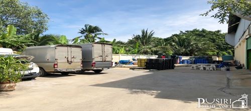 ขาย กิจการโรงงาน เครื่องปรุงบรรจุซอง บนเนื้อที่ 328 ตร.ว. สร้าง รายได้ทันที พร้อมทุกอย่าง เครื่องจักรและฐานลูกค้า เลียบคลองแคราย เอกชัย - KK3615S