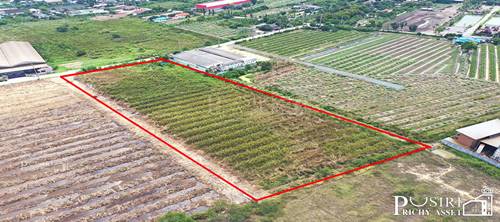 สร้างโรงงานได้ทุกประเภท กับที่สีม่วง 11 ไร่เศษ หน้ากว้าง 78 ม. เทรลเลอร์เข้าออกสะดวก ใกล้ ถ. เศรษฐกิจและ พุทธสาคร ในราคาพิเศษ - KK1320s