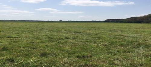 ขายที่ดิน 9 ไร่เศษ เหมาะกับคนรักสงบ เดินทางได้หลากหลายเส้นทาง ใกล้ความเจริญ และตัวเมืองนครศรีธรรมราช - KK3238S