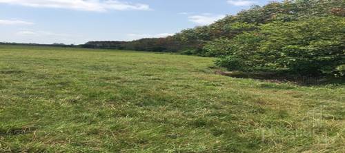 ขายที่ดิน 9 ไร่เศษ เหมาะกับคนรักสงบ เดินทางได้หลากหลายเส้นทาง ใกล้ความเจริญ และตัวเมืองนครศรีธรรมราช - KK3238S