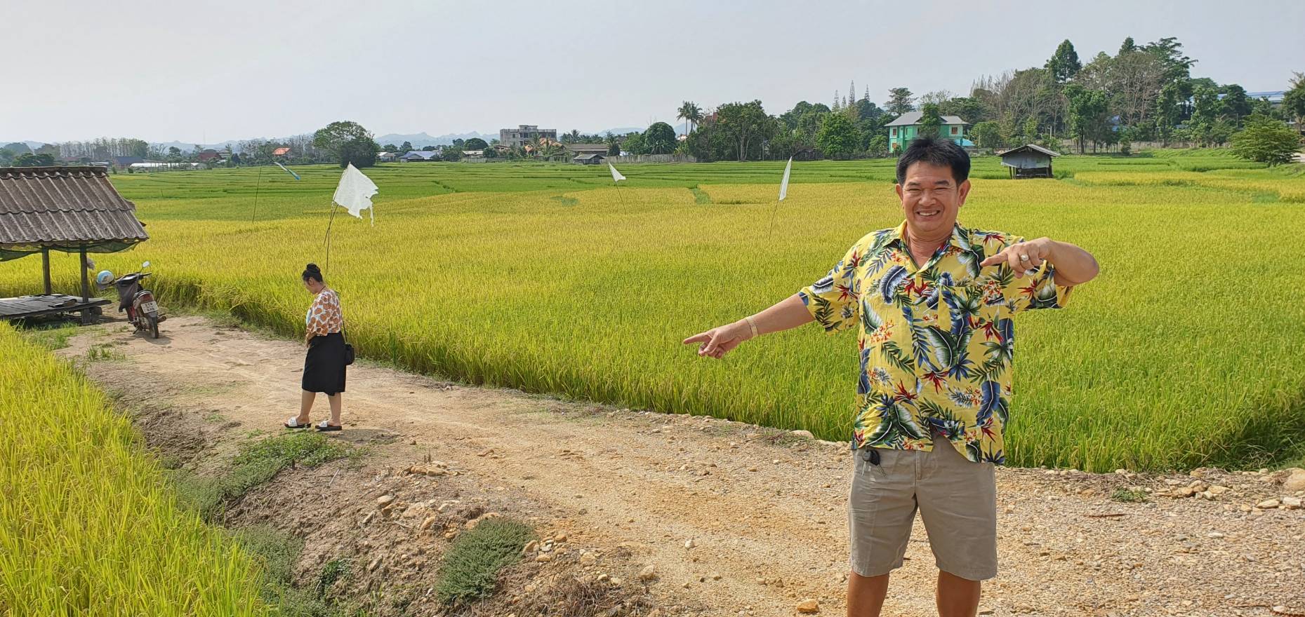ขายที่ดิน ยกแปลง ทำเลดีมาก เป็นจุดศูนย์กลาง แหล่งท่องเที่ยว เชียงใหม่ เชียงราย ลำปาง เจ้าของขายเอง