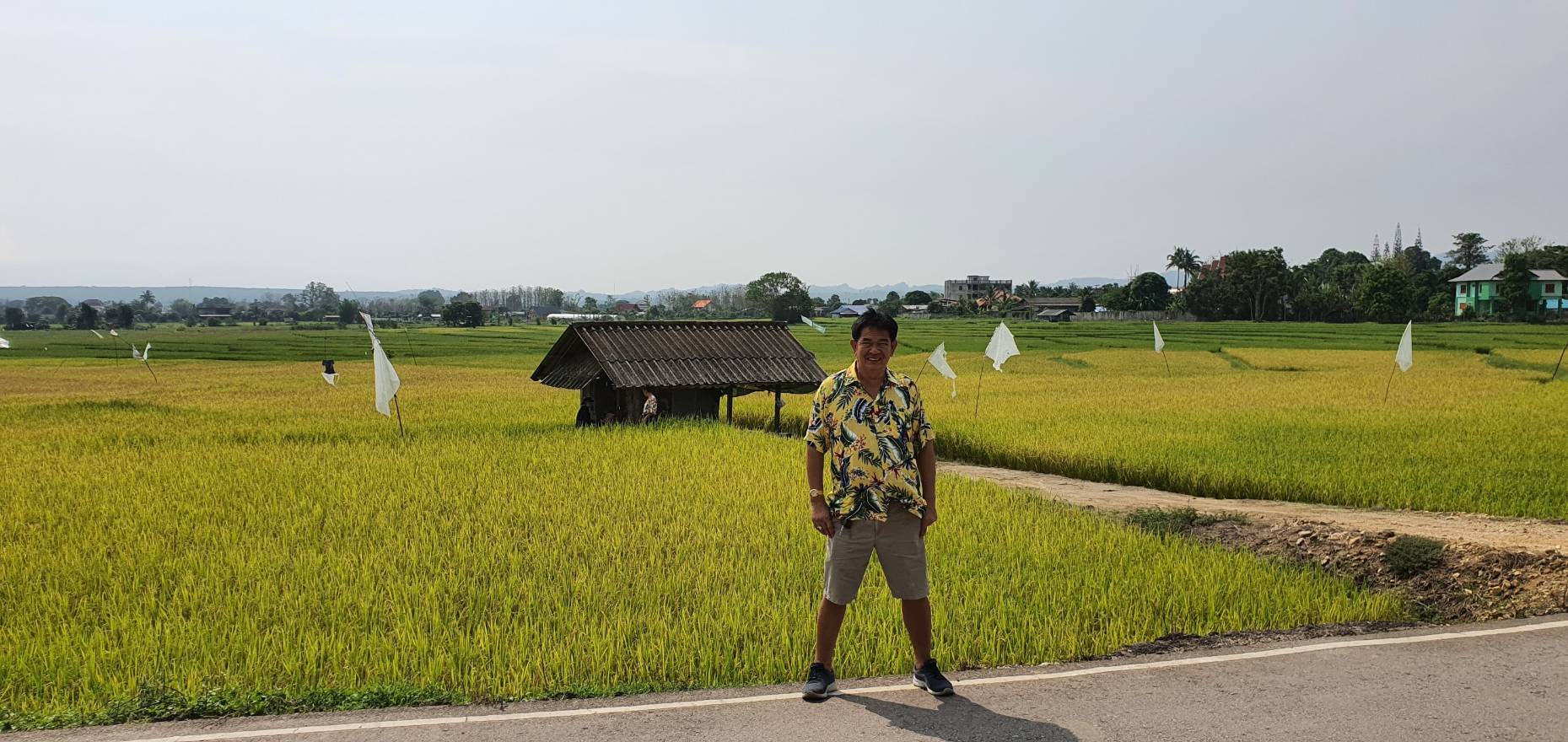 ขายที่ดิน ยกแปลง ทำเลดีมาก เป็นจุดศูนย์กลาง แหล่งท่องเที่ยว เชียงใหม่ เชียงราย ลำปาง เจ้าของขายเอง