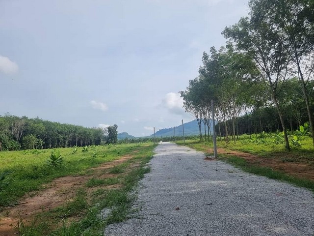 ขายที่ดินใกล้ภูเขา ธารน้ำ แปลงสวยมาก ทำเลดี บรรยากาศดี อ.เมือง จ.ระยอง