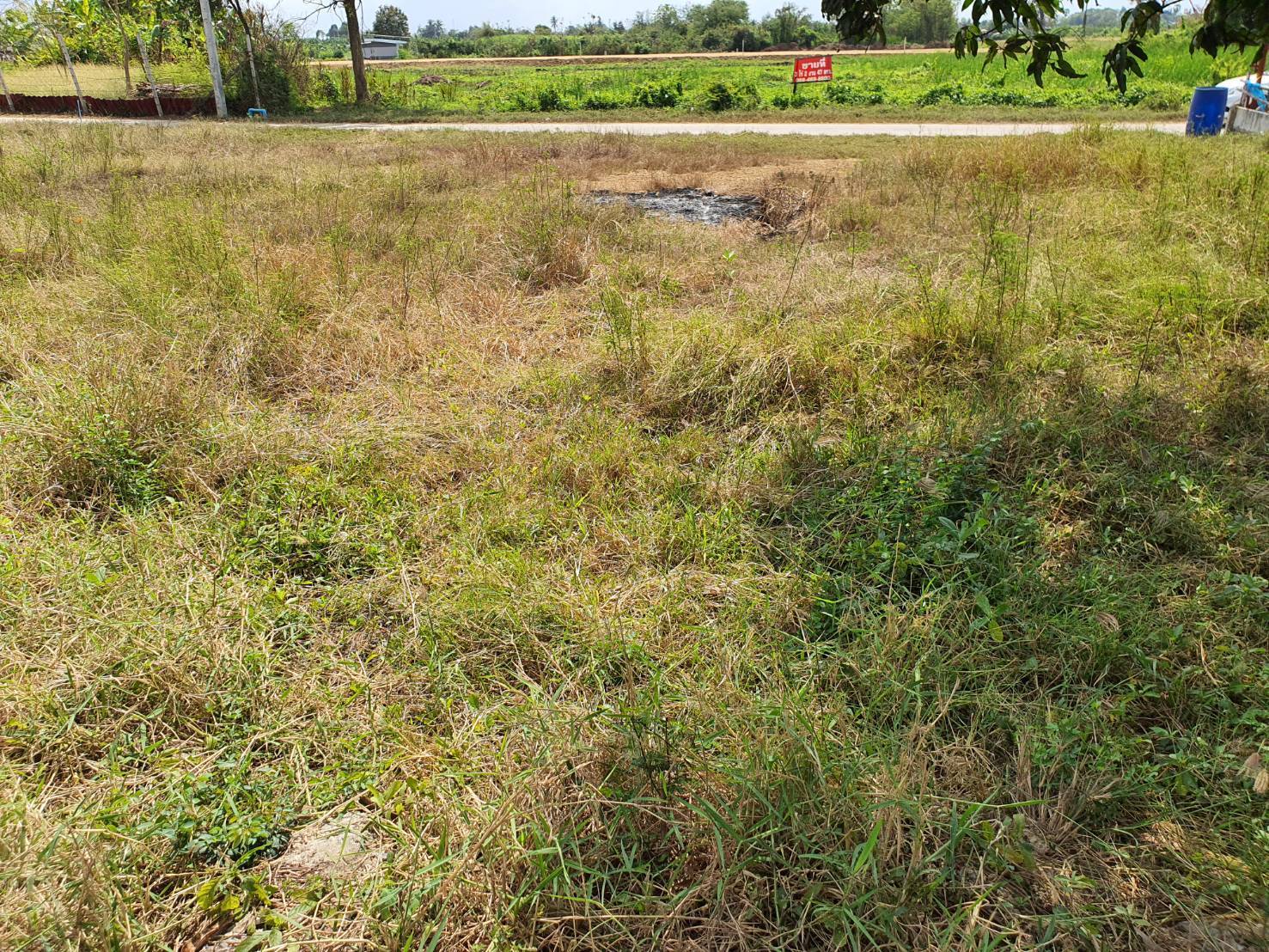 ขายที่ดินบรรยากาศดีด้านหลังติดคลอง ขนาด 47.5 ตรว. ต.ทุ่งบัว อ.กำแพงแสน จ.นครปฐม ฟรีค่าโอน