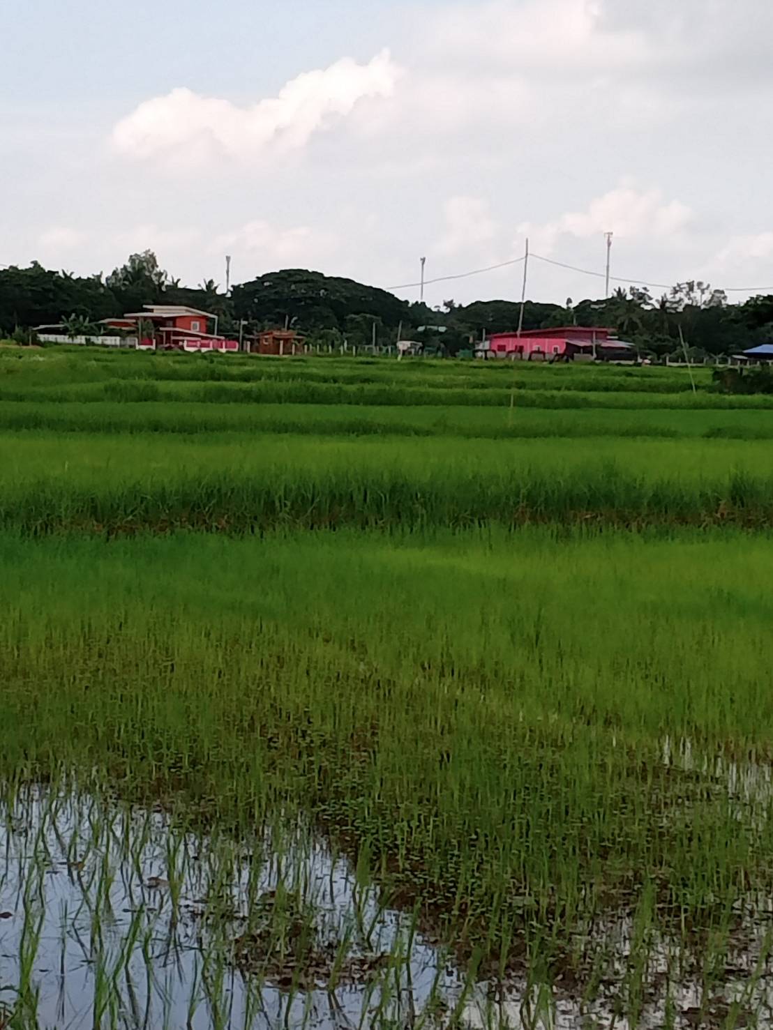 ขายที่ดิน เหมาะสำหรับใช้ประโยชน์เอนกประสงค์ อำเภอ  เมือง ขอนแก่น