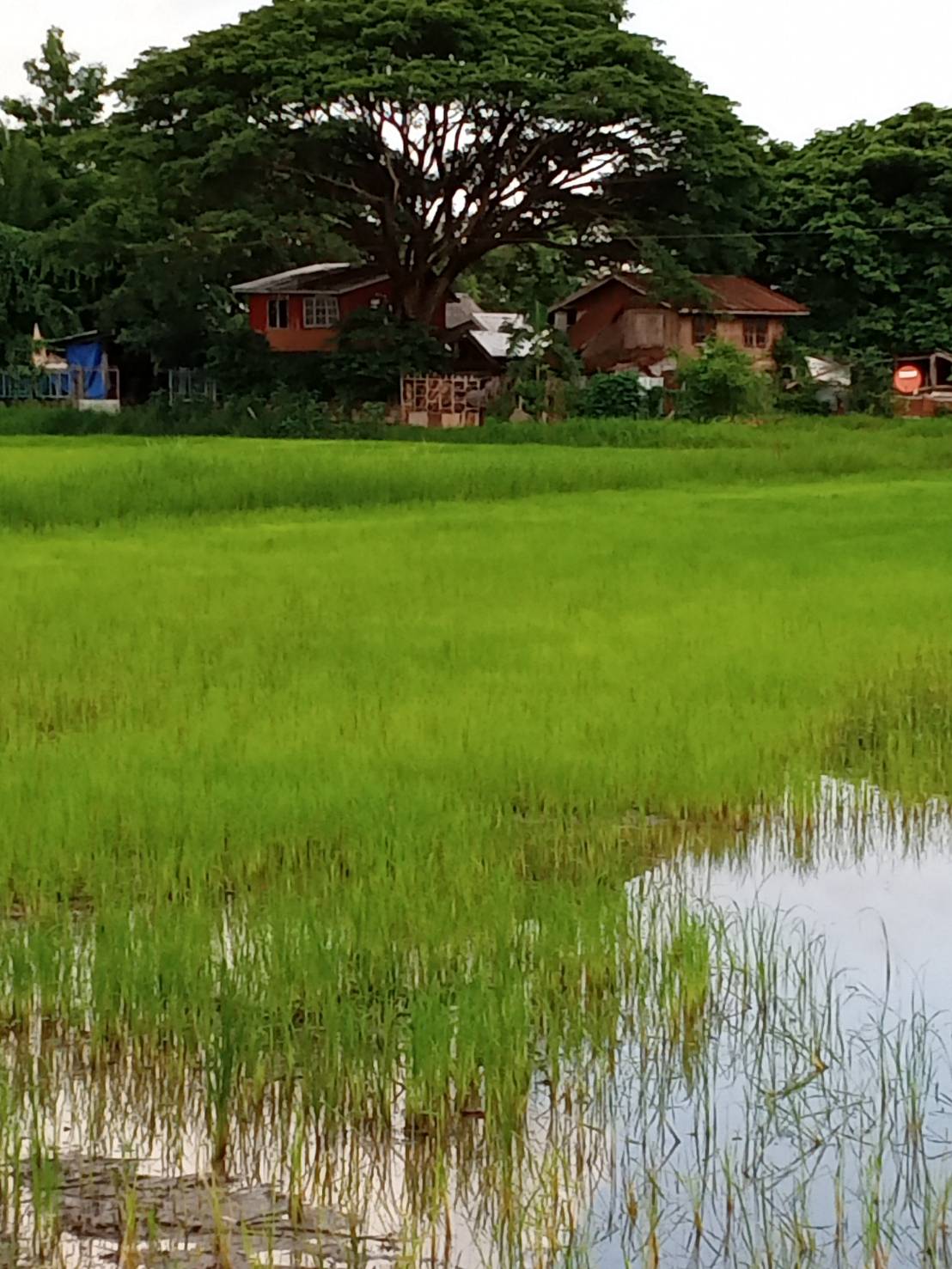 ขายที่ดิน เหมาะสำหรับใช้ประโยชน์เอนกประสงค์ อำเภอ  เมือง ขอนแก่น