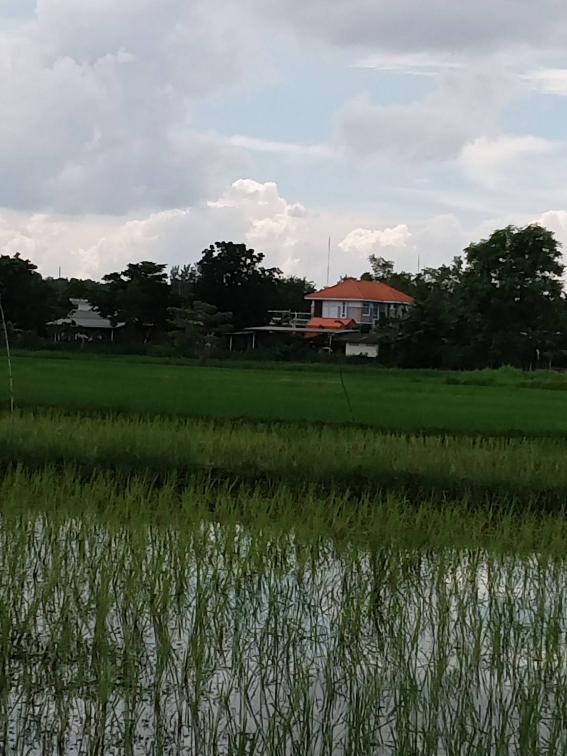 ขายที่ดิน เหมาะสำหรับใช้ประโยชน์เอนกประสงค์ อำเภอ  เมือง ขอนแก่น