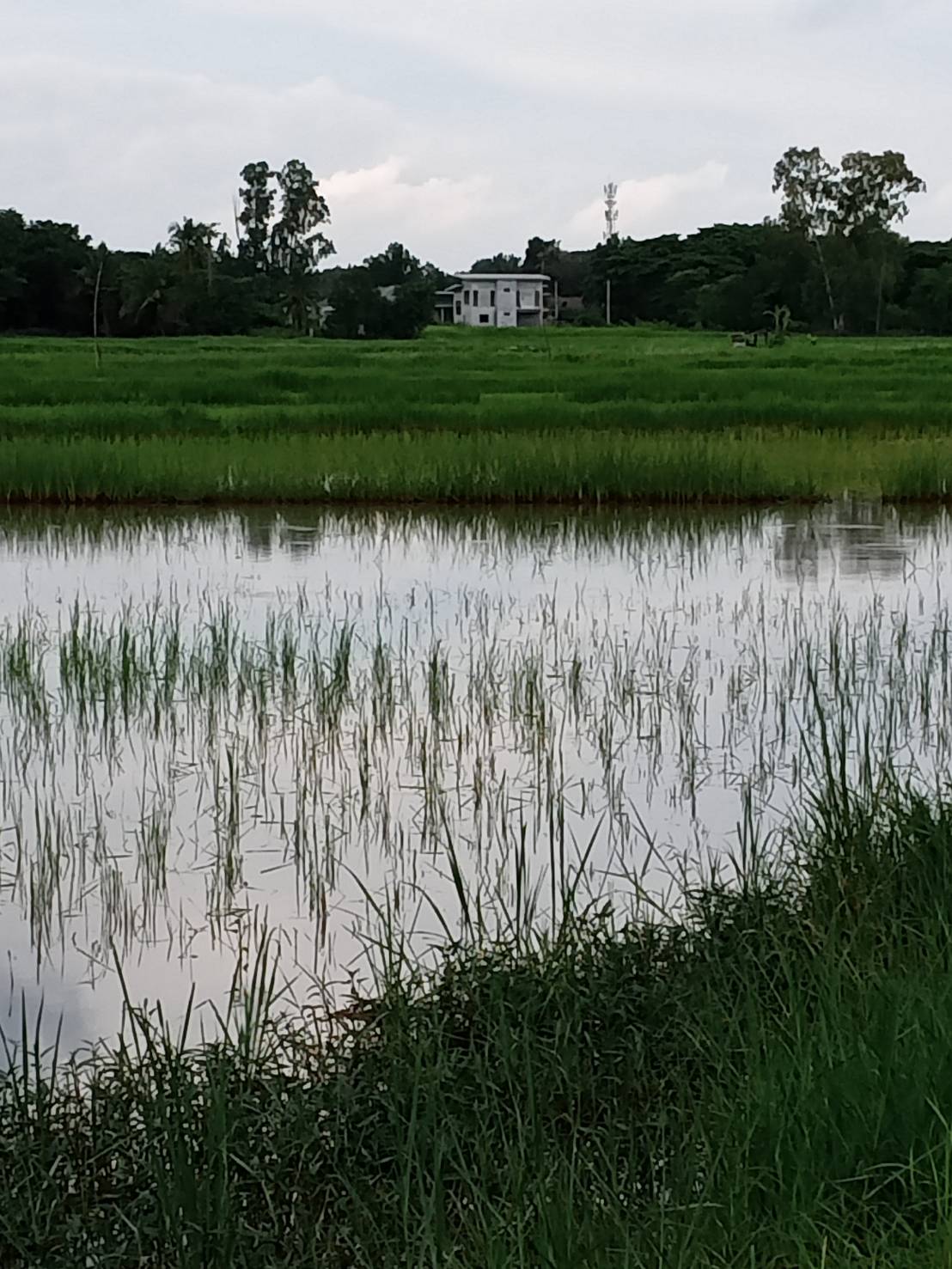 ขายที่ดิน เหมาะสำหรับใช้ประโยชน์เอนกประสงค์ อำเภอ  เมือง ขอนแก่น