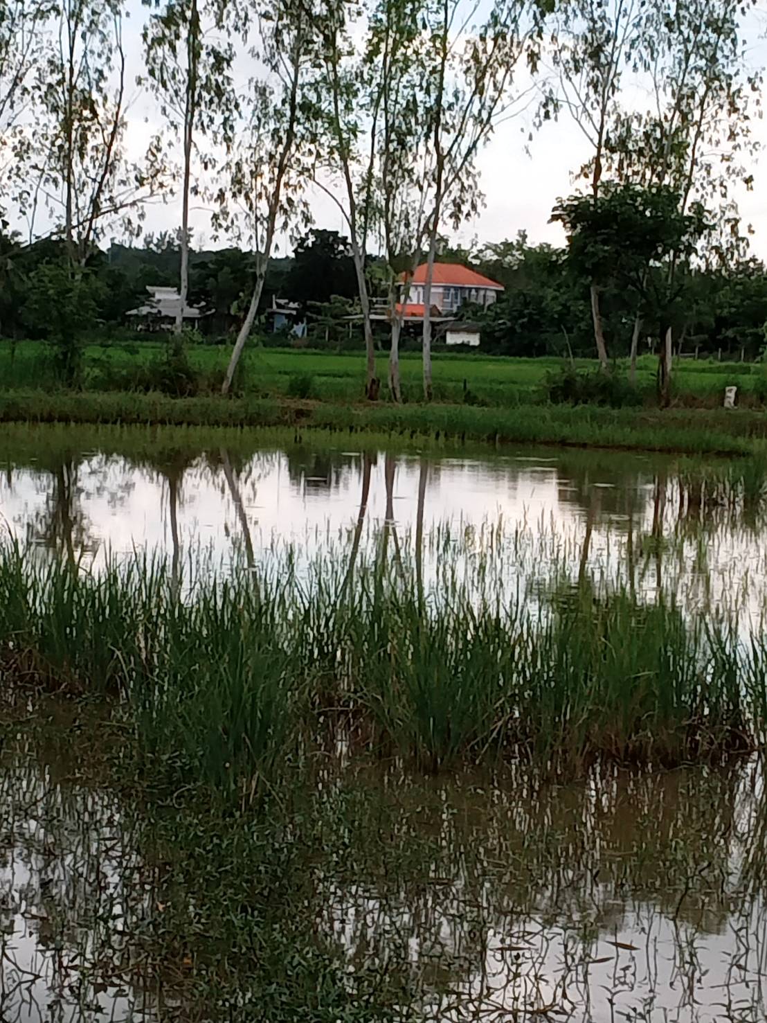 ขายที่ดิน เหมาะสำหรับใช้ประโยชน์เอนกประสงค์ อำเภอ  เมือง ขอนแก่น