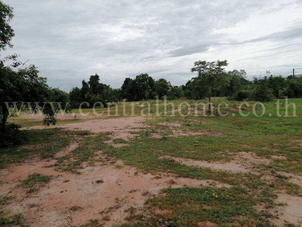 ที่ดิน 9 - 3 - 5 ไร่ ใกล้ ถนน เอเชีย มโนรมย์ ชัยนาท