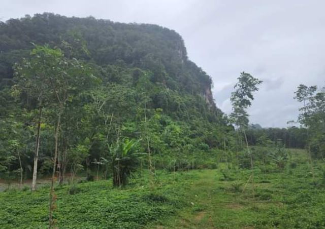 ขายที่ดินทำเลสวย บรรยากาศดี อำเภอเมือง กระบี่