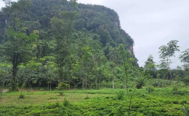 ขายที่ดินทำเลสวย บรรยากาศดี อำเภอเมือง กระบี่