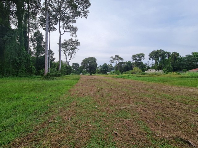 ขายที่ดินริมทะเลวิวสวย (PRIVATE ZONE) กลางอ่าวเจริญ   อำเภอแกลง จังหวัดระยอง