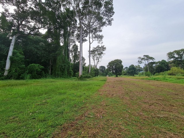 ขายที่ดินริมทะเลวิวสวย (PRIVATE ZONE) กลางอ่าวเจริญ   อำเภอแกลง จังหวัดระยอง