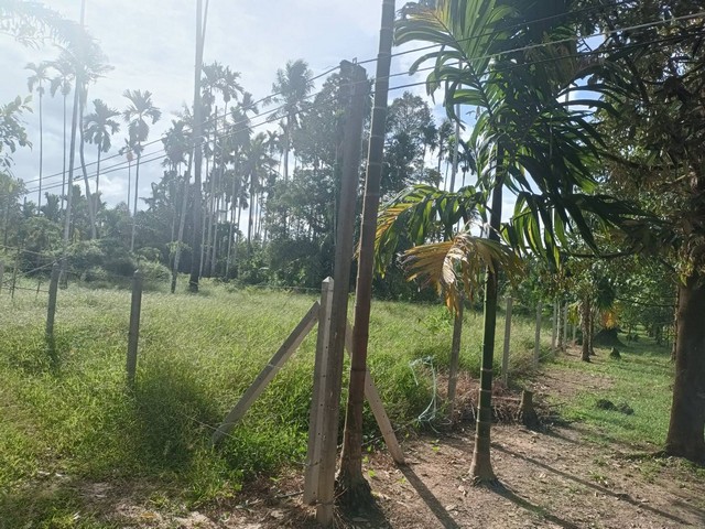 ขายที่ดิน 1 ไร่ 1 งาน 80 ตารางวา ตำบล หาดพันไกร อ. เมือง  จ. ชุมพร ( เจ้าของขายเอง )