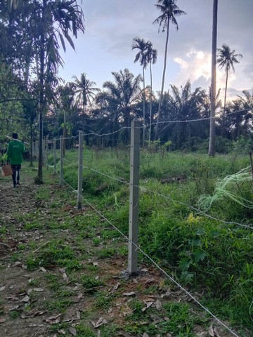 ขายที่ดิน 1 ไร่ 1 งาน 80 ตารางวา ตำบล หาดพันไกร อ. เมือง  จ. ชุมพร ( เจ้าของขายเอง )