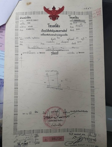 ขายที่ดิน 1 ไร่ 1 งาน 80 ตารางวา ตำบล หาดพันไกร อ. เมือง  จ. ชุมพร ( เจ้าของขายเอง )