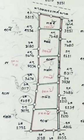 ขายที่ดิน พร้อมสวนปาล์ม บ้านเลือก โพธาราม ใกล้ตลาด  ปลาบ้านโป่งแปลงสวย