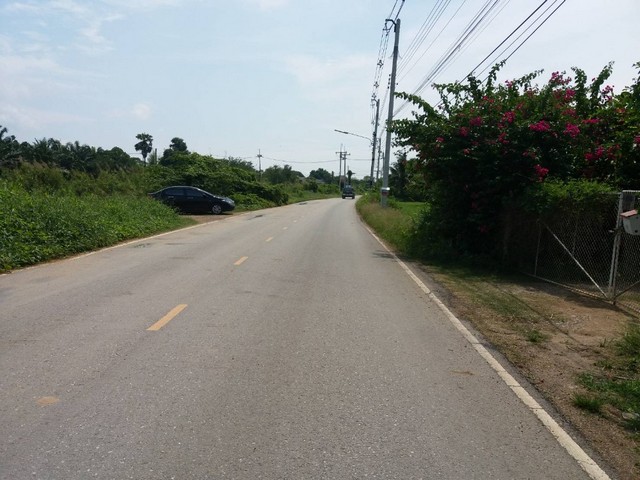 ขายที่ดิน พร้อมสวนปาล์ม บ้านเลือก โพธาราม ใกล้ตลาด  ปลาบ้านโป่งแปลงสวย