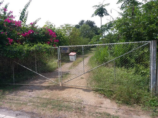 ขายที่ดิน พร้อมสวนปาล์ม บ้านเลือก โพธาราม ใกล้ตลาด  ปลาบ้านโป่งแปลงสวย