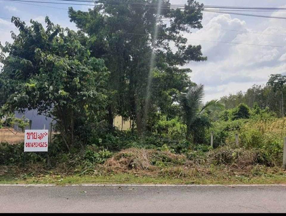 ขายที่ดิน ทำเลดี ใกล้สนามบิน ภูเก็ต