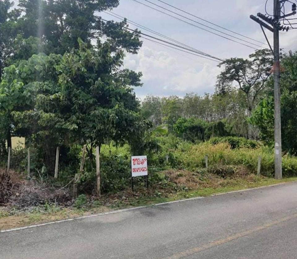 ขายที่ดิน ทำเลดี ใกล้สนามบิน ภูเก็ต