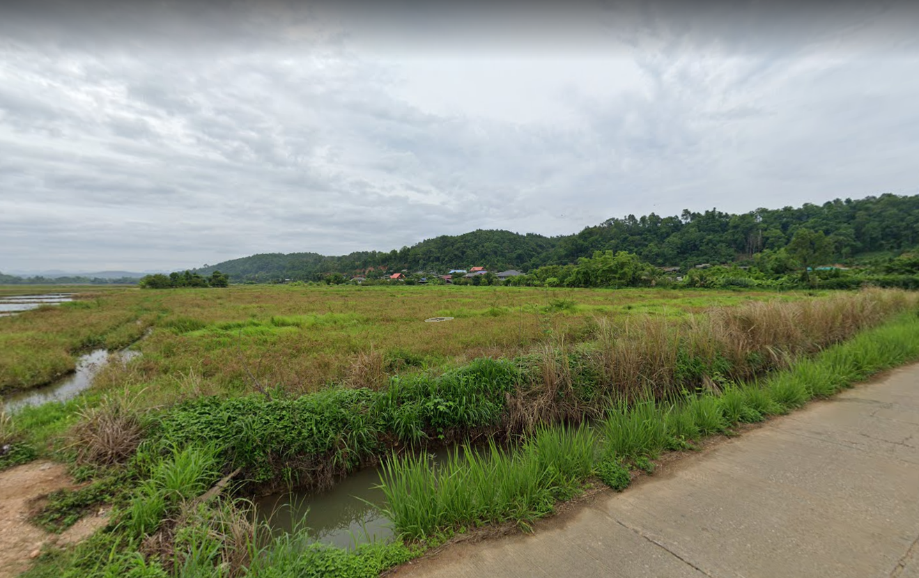 ขายที่ดิน/ที่นา เนื้อที่ 8 ไร่ 54 ตร.ว ที่ดินแปลงสี่เหลี่ยมกว้างสวย สงบ ใกล้ชิดธรรมชาติ ต.เชียงดาว อ.เชียงดาว จ.เชียงใหม่