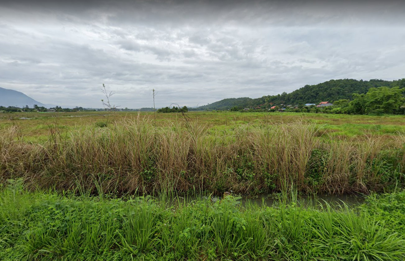 ขายที่ดิน/ที่นา เนื้อที่ 8 ไร่ 54 ตร.ว ที่ดินแปลงสี่เหลี่ยมกว้างสวย สงบ ใกล้ชิดธรรมชาติ ต.เชียงดาว อ.เชียงดาว จ.เชียงใหม่