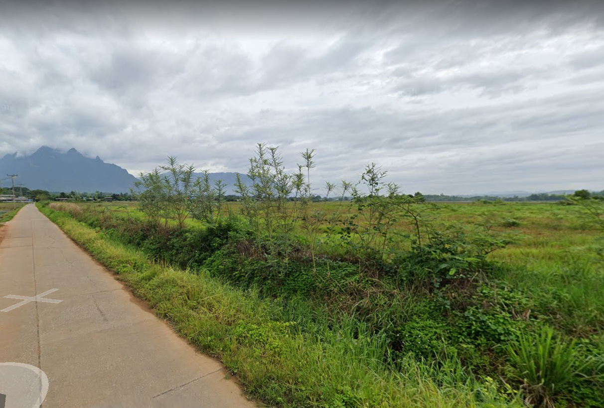ขายที่ดิน/ที่นา เนื้อที่ 8 ไร่ 54 ตร.ว ที่ดินแปลงสี่เหลี่ยมกว้างสวย สงบ ใกล้ชิดธรรมชาติ ต.เชียงดาว อ.เชียงดาว จ.เชียงใหม่
