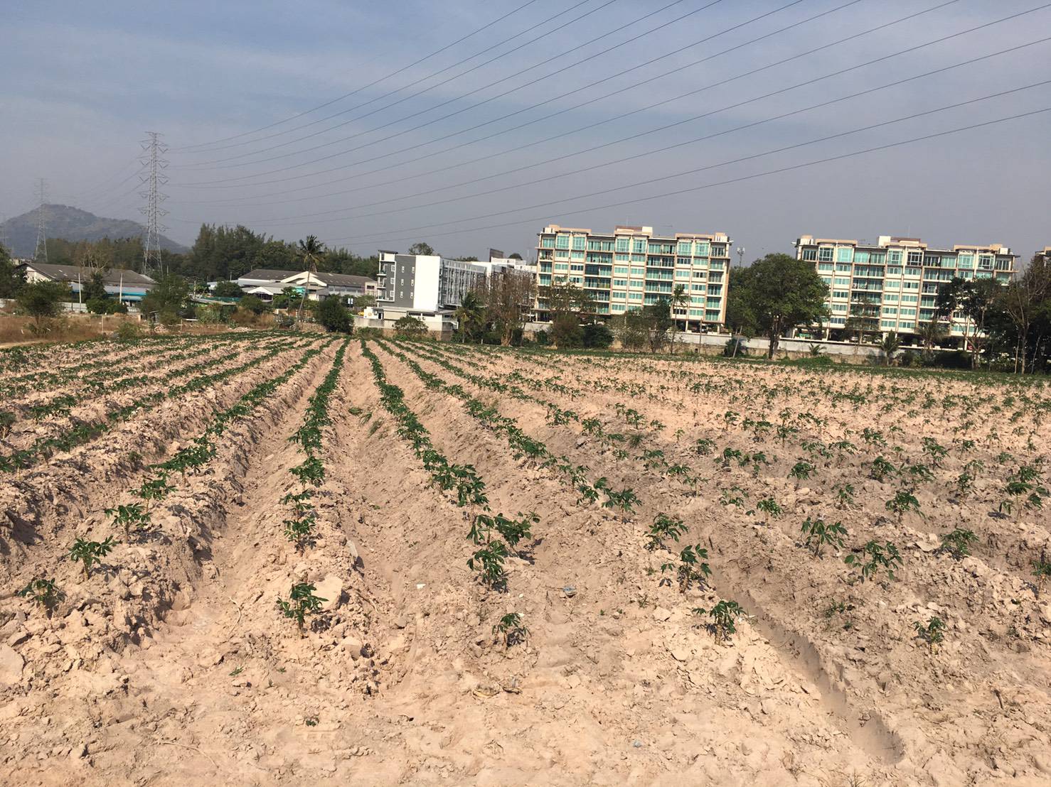 ขายที่ดินสวย ใกล้รร.อัสสัมชัญ ศรีราชา