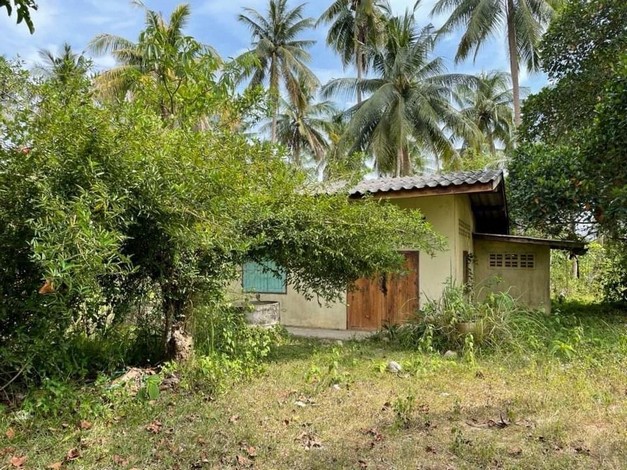 ขายที่ดิน ทำเลดี ที่ดินติดทะเล ลมเย็น โปร่งสบาย อ.บางสะพาน จ.ประจวบศิริขันธ์