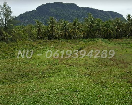 ขายที่ดินพร้อมบ้าน ทำเลดี อำเภอเกาะลันตา กระบี่