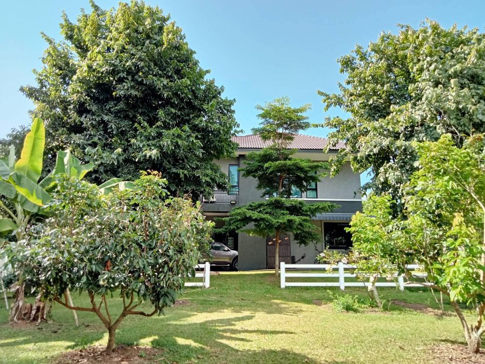 ขายบ้านเดียวบรรยากาศธรรมชาติ  เหมาะสำหรับการพักผ่อน อำเภอแม่จัน เชียงราย