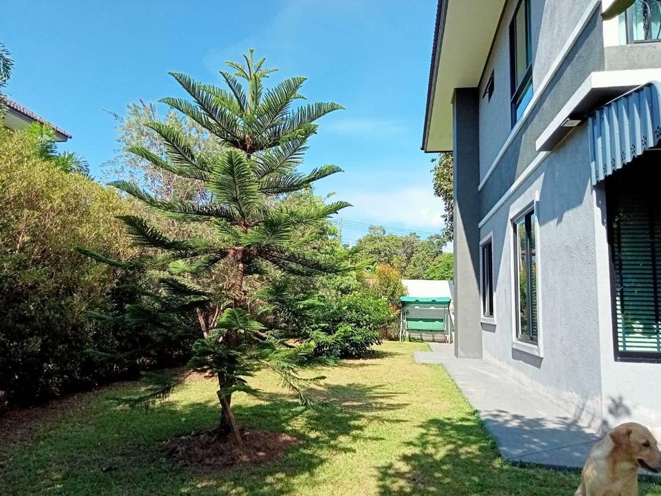 ขายบ้านเดียวบรรยากาศธรรมชาติ  เหมาะสำหรับการพักผ่อน อำเภอแม่จัน เชียงราย