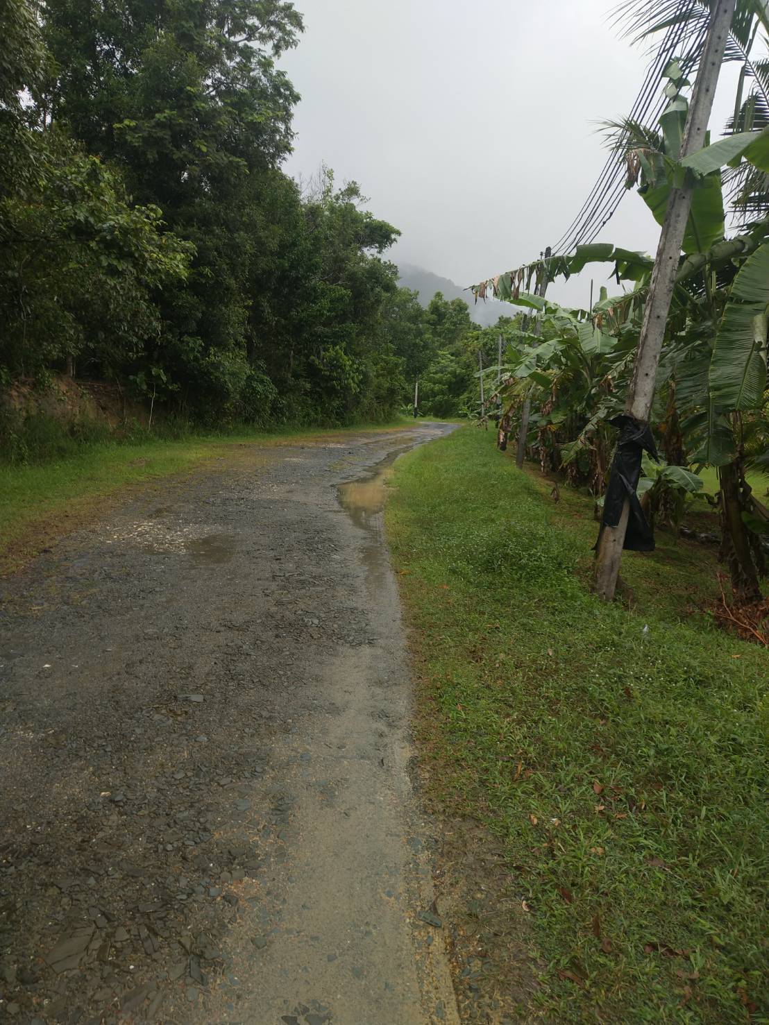 ขายที่ดิน วิวสวย เหมาะกับการสร้างบ้านพักตากอากาศ จังหวัดภูเก็ต