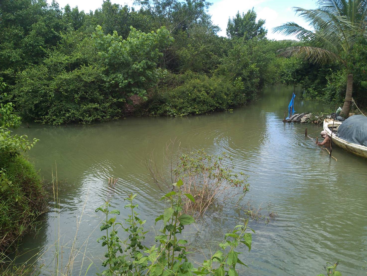ขายที่ดิน วิวสวย เหมาะกับการสร้างบ้านพักตากอากาศ จังหวัดภูเก็ต