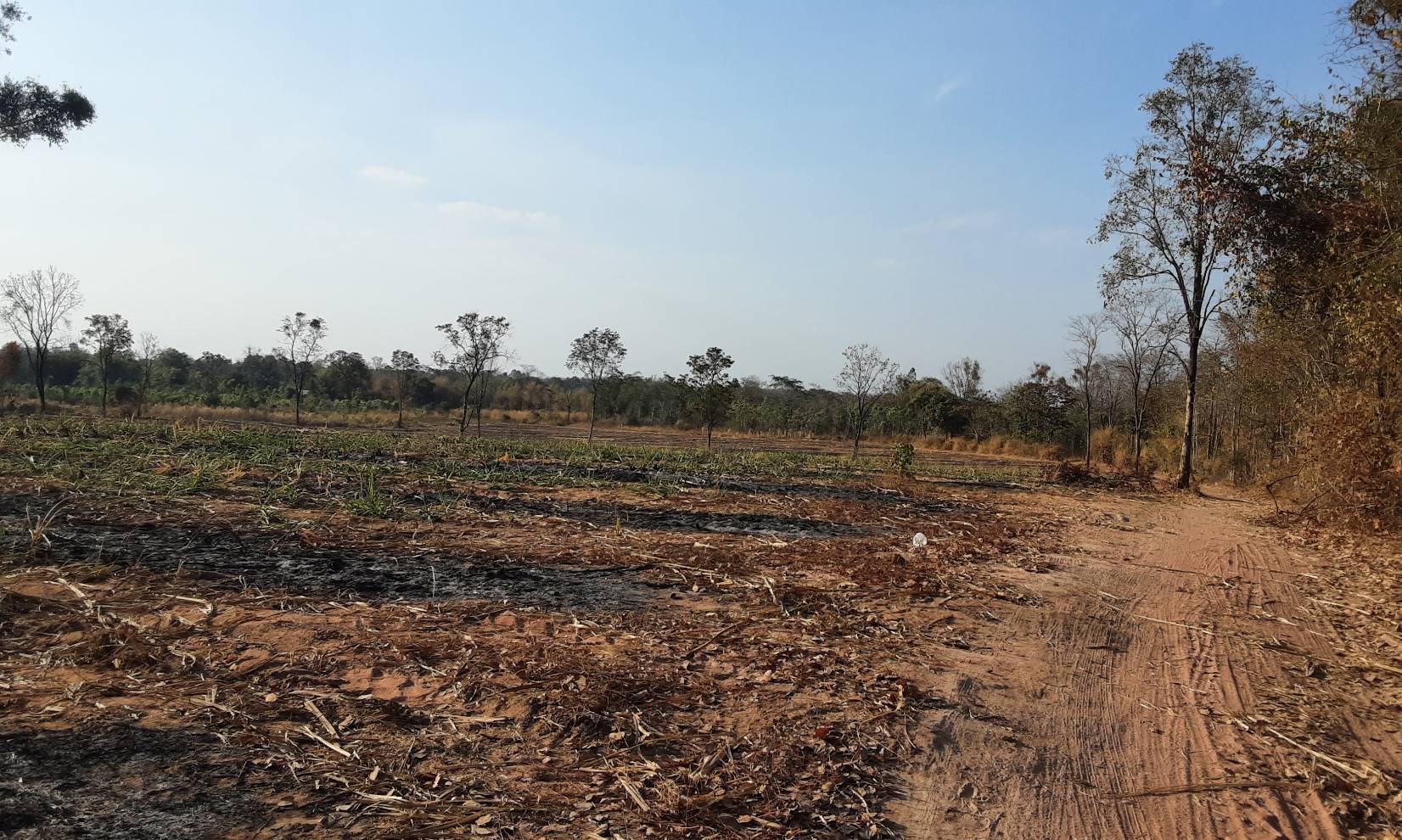 ขายที่ดิน 40-1-78 THB4,860,000 นามะเฟือง, เมือง, หนองบัวลำภู