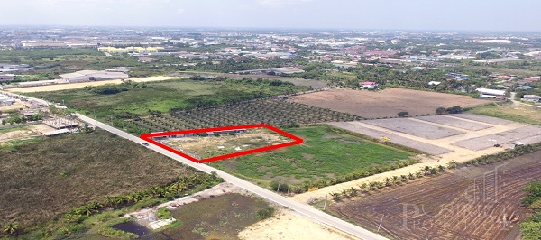สร้างโรงงาน/คลังสินค้าได้หลายประเภท วางแปลนง่าย ที่ดิน 1 ไร่ 363.5 วา ขับรถ 5 นาที จาก ถ.เพชรเกษม-อ้อมใหญ่  ขายที่ดินนครปฐม KK2367S